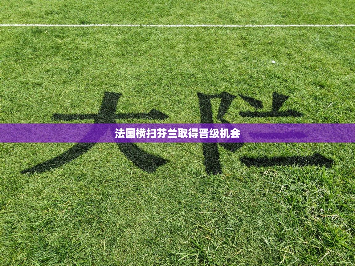 法国横扫芬兰取得晋级机会 第1张